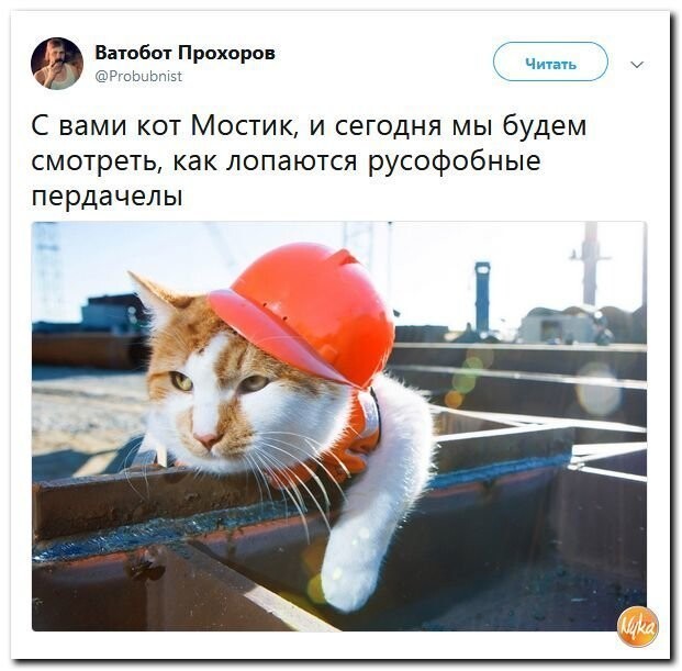 Политические коментарии соцсетей - 476