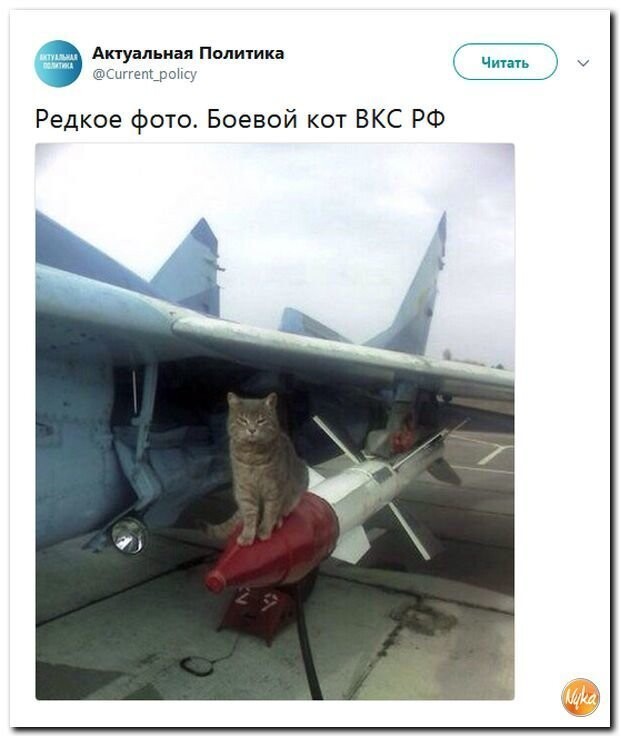 Политические коментарии соцсетей - 477