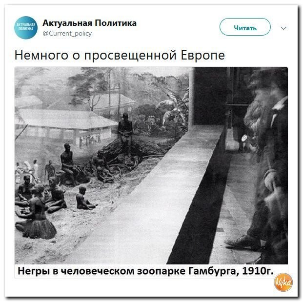 Политические коментарии соцсетей - 477
