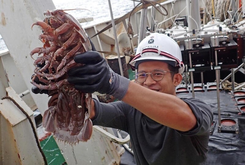 На фото - гигантский морской таракан длиной 30 см, которого специалисты окрестили "Дарт Вейдер Изопод"