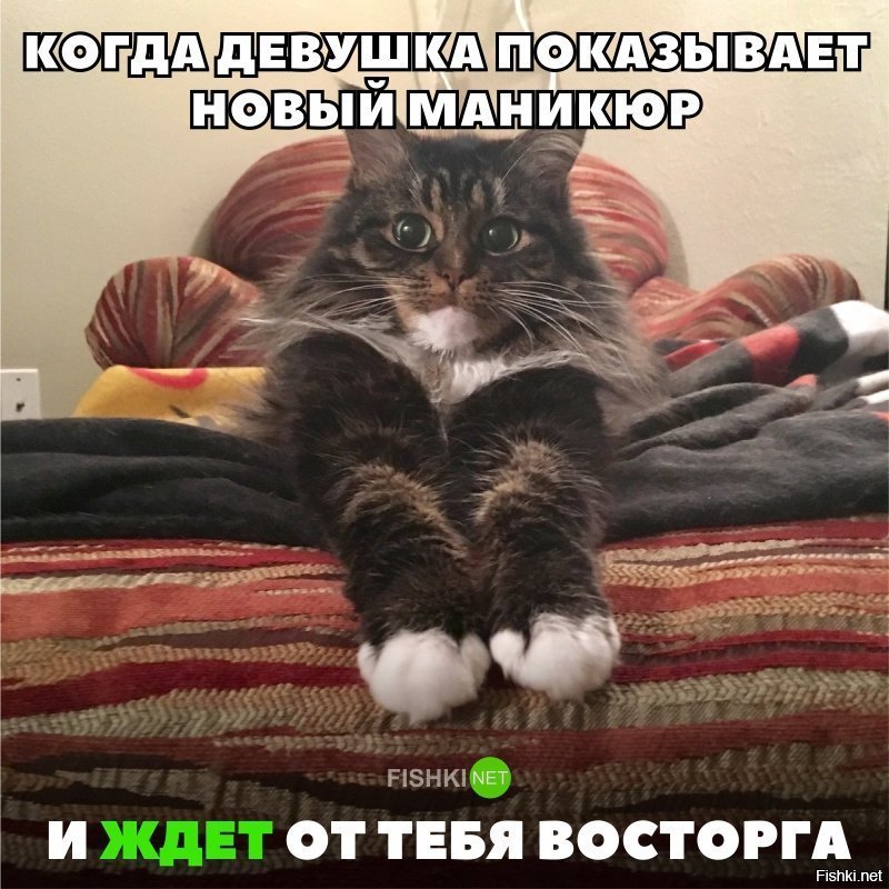 Когда девушка ждёт от тебя восторга на её новый маникюр