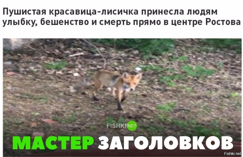Мастер заголовков