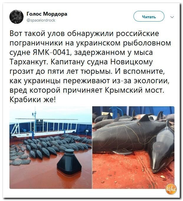 Политические коментарии соцсетей - 478