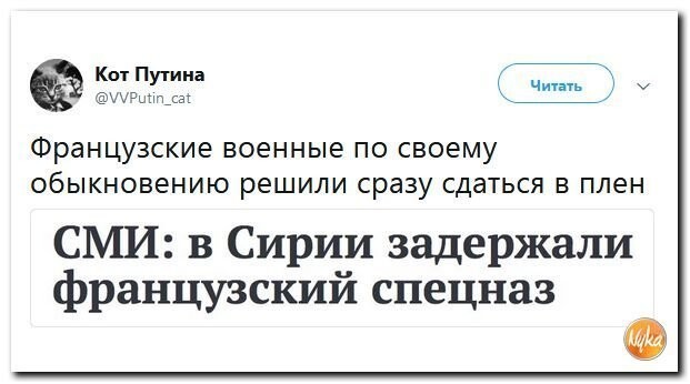 Политические коментарии соцсетей - 478