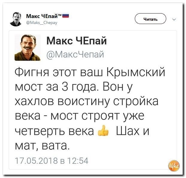 Политические коментарии соцсетей - 478