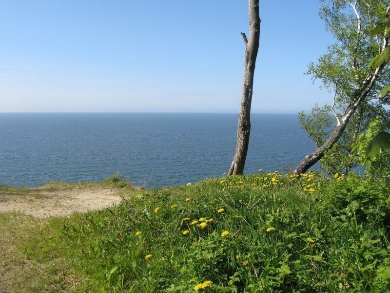 Зеленый городок Светлогорск. Калининградская область