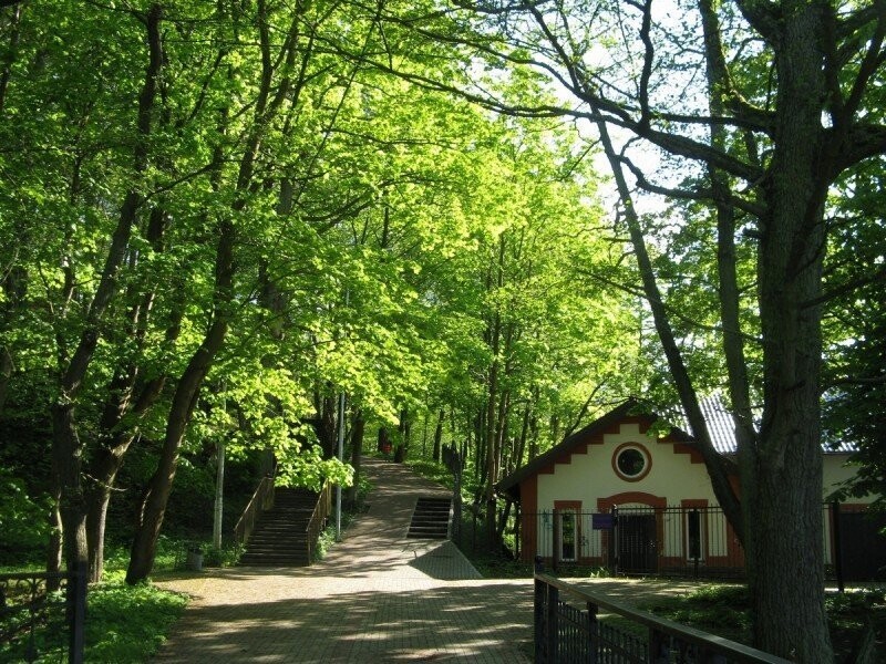Зеленый городок Светлогорск. Калининградская область