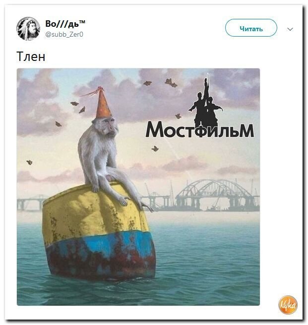 Политические коментарии соцсетей - 479
