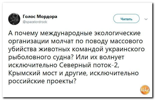 Политические коментарии соцсетей - 479