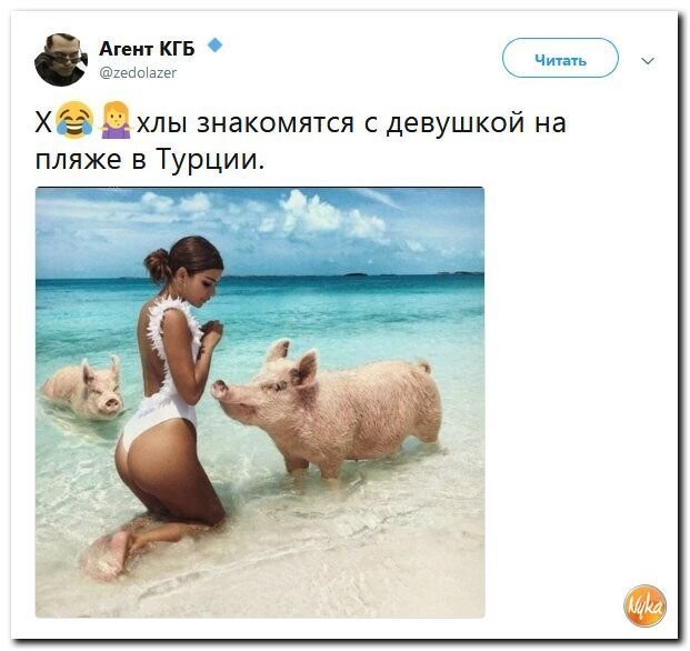 Политические коментарии соцсетей - 479