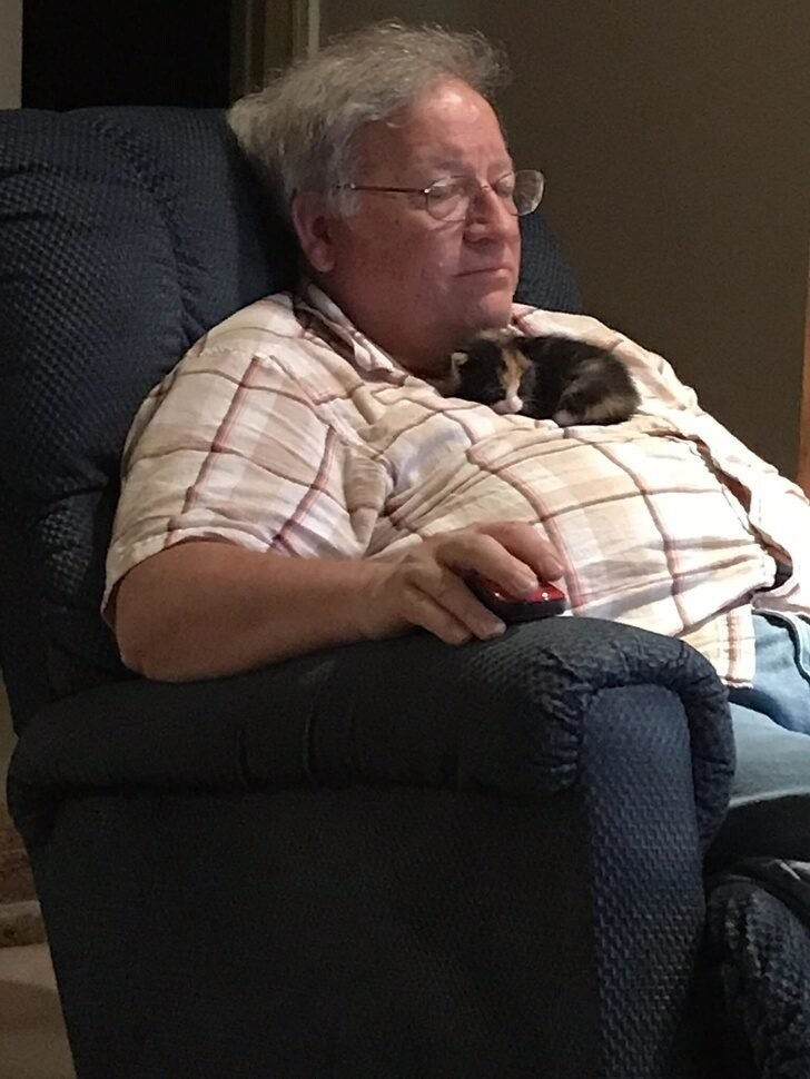 «У моего папы никогда не было кота, но он обожает играть с моим, когда приходит в гости. На днях отец подобрал котенка на улице. Теперь этот малыш спит вот так»