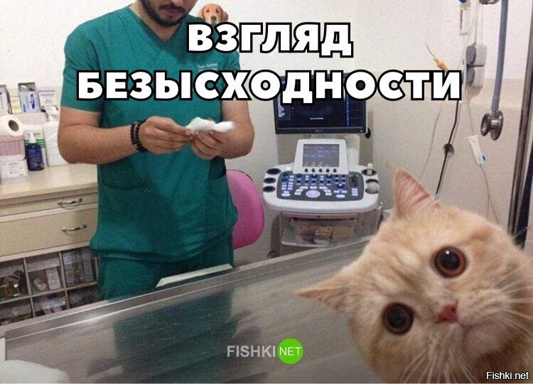 Безысходность