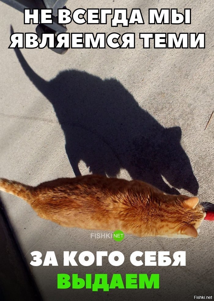 Не всегда мы являемся теми, за кого себя выдаём