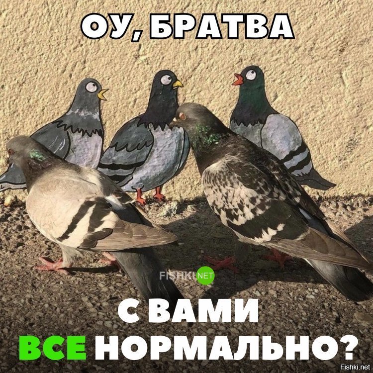 Нашли друзей