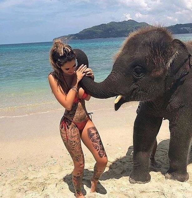 Поцелуй слоненка