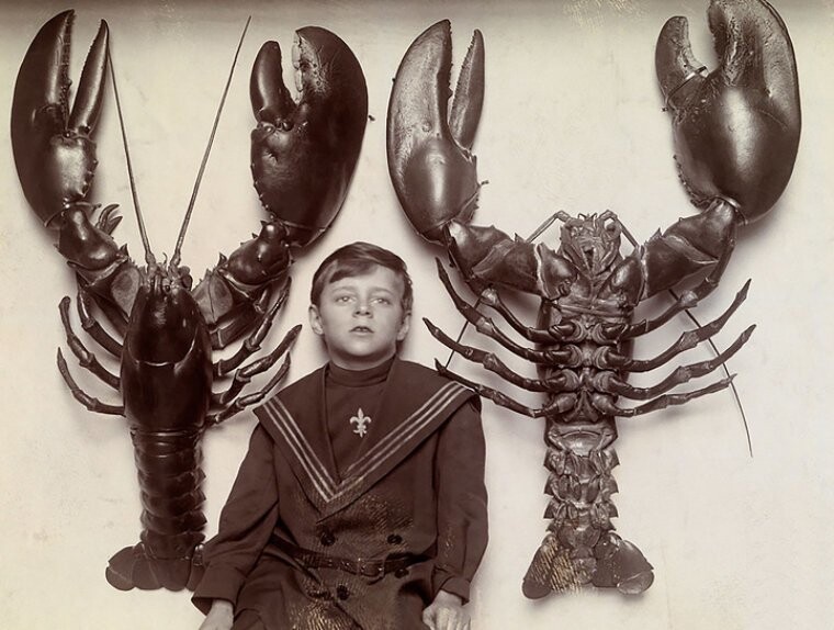 Мальчик и лобстеры, 1916 год