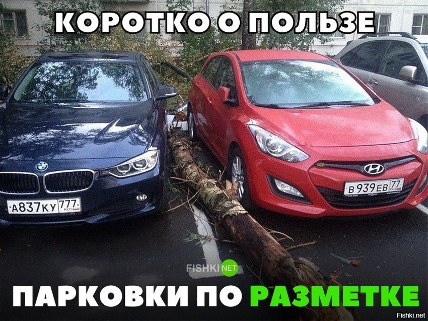 Польза правильной парковки