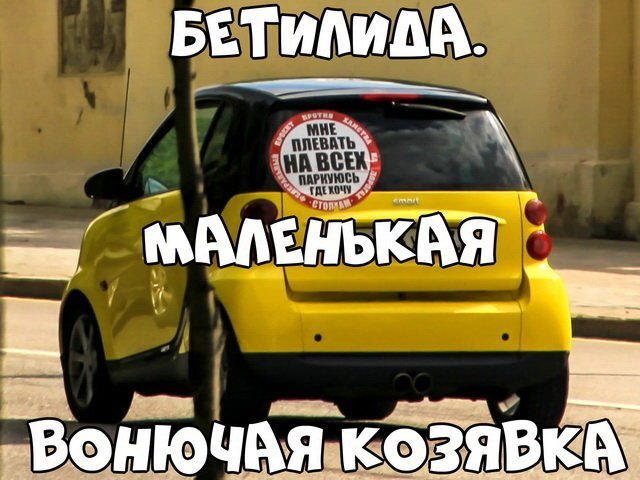 Автовсячина