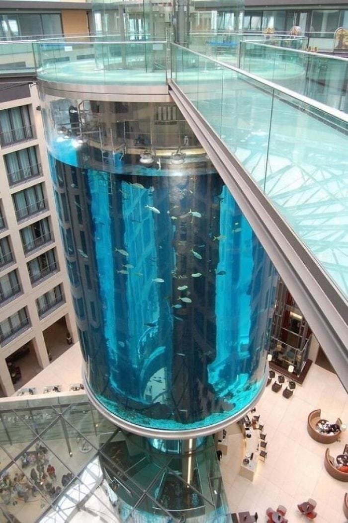 11. Этот лифт находится в огромном аквариуме