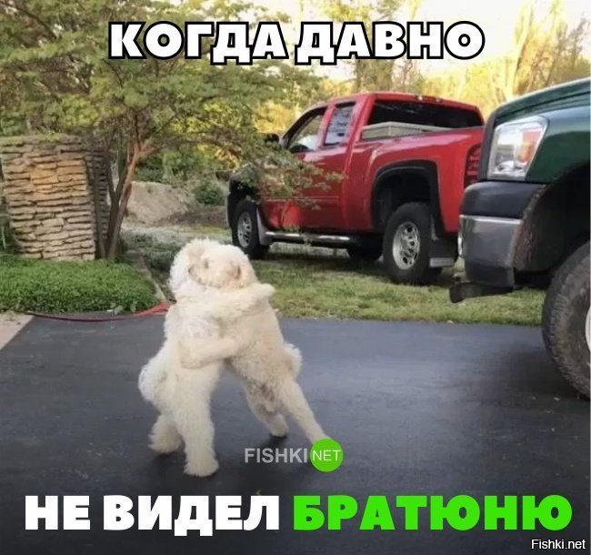 Давно не виделись