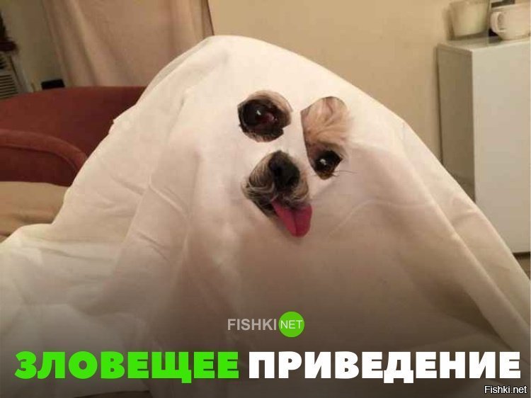 Зловещее приведение