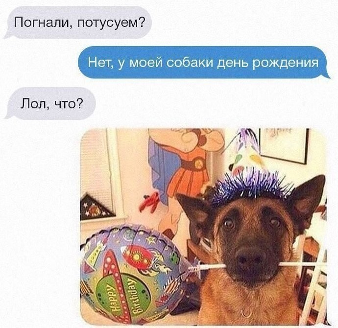 А вы отмечаете день рождения собаки?