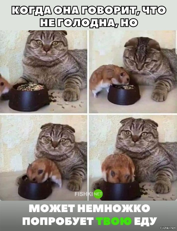 Жизненно