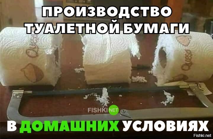 Туалетная бумага в домашних условиях