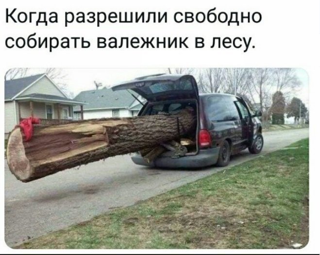 Политические коментарии соцсетей - 484