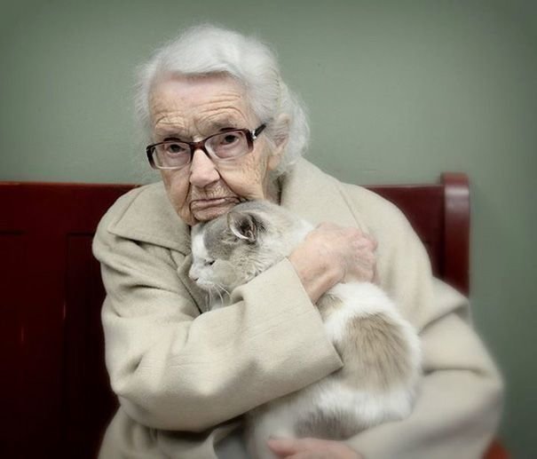 Эта пожилая кошка нашла свою хозяйку в лице 102-летней старушки