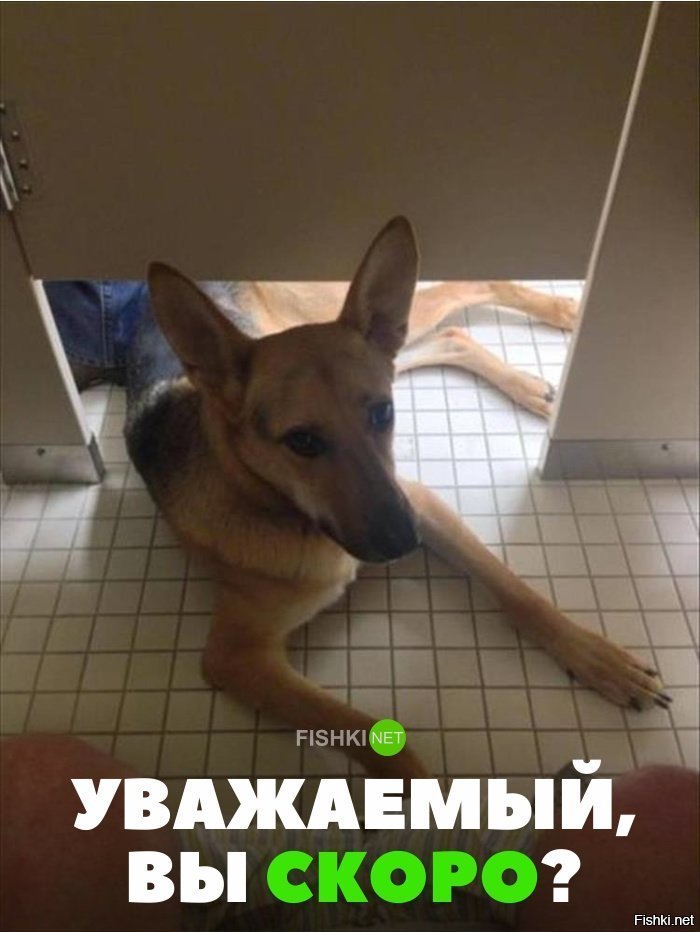 Уважаемый, вы скора?