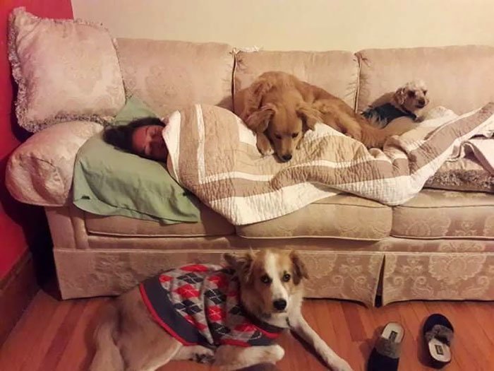 18. "Когда мама заболела, собаки принялись за ней ухаживать, как за самой слабой из стаи, и следили, чтобы ей всегда было тепло"