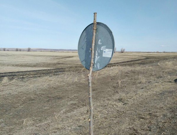 Нужно ли выполнять требования дорожного знака, установленного на дереве или палке?