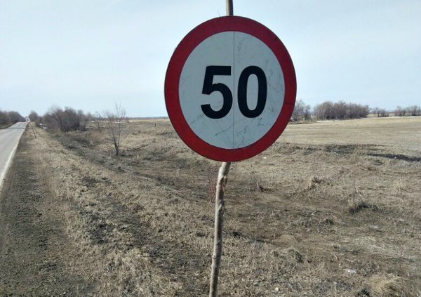 Нужно ли выполнять требования дорожного знака, установленного на дереве или палке?