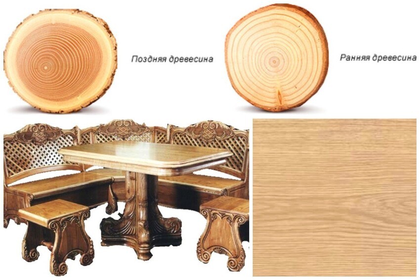 Поздняя древесина. Ранняя древесина. Использование дуба. Что делают из древесины. Интересные факты о пиломатериале.