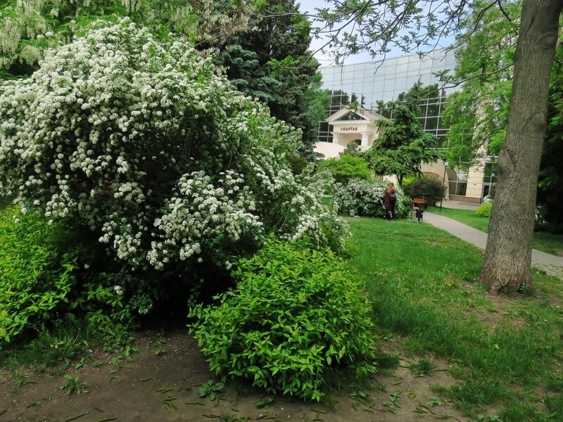 Воронеж. Часть 3: горизонтальный центр