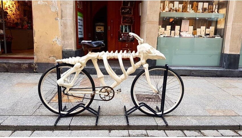 Скелет на колесах