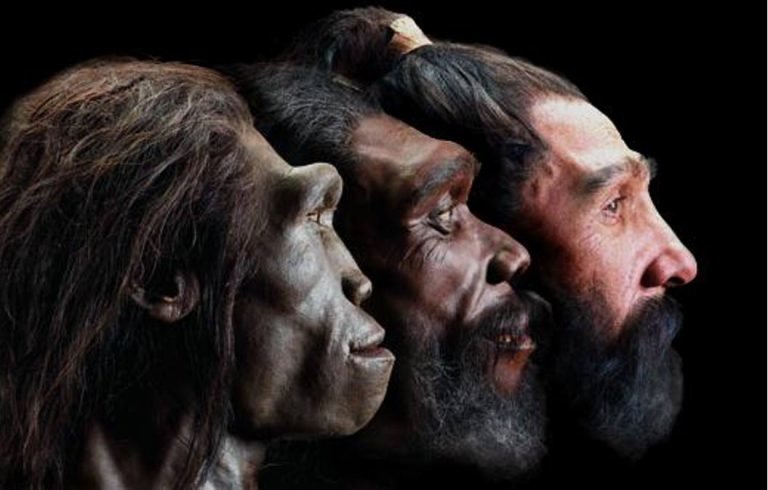 Видео: эволюция человеческого лица за последние 6 миллионов лет