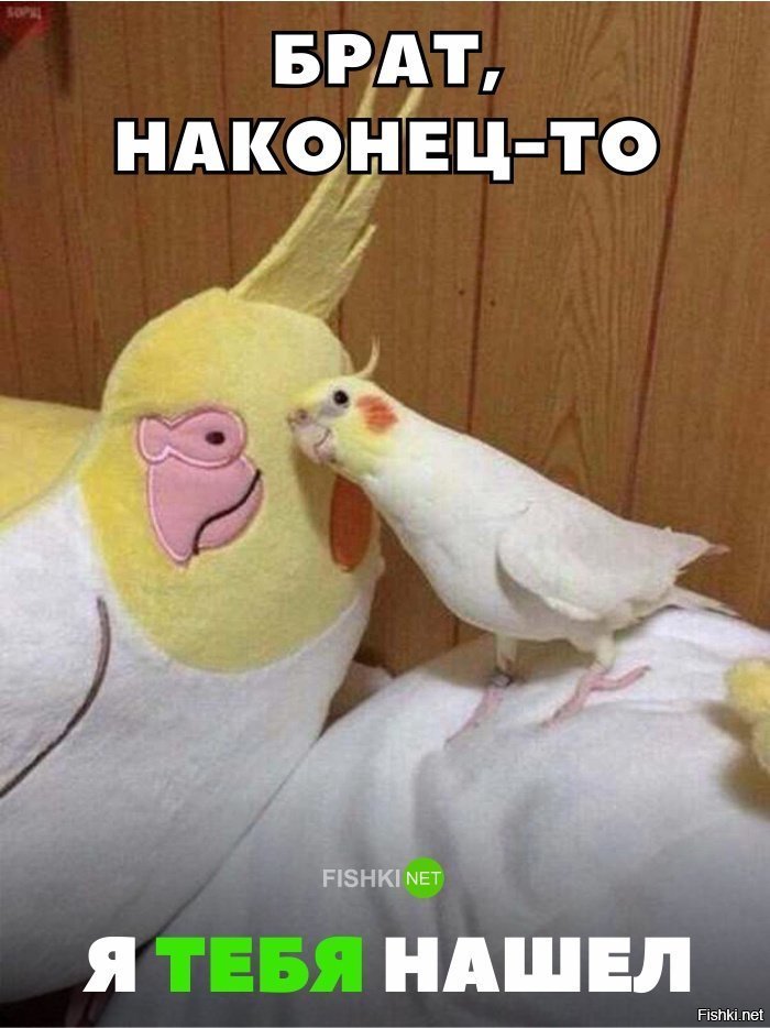 Старший брат