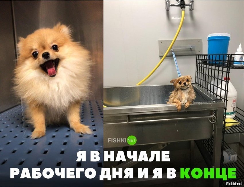 У всех так?