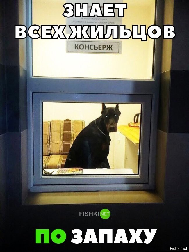 Всех жильцов по запаху знает