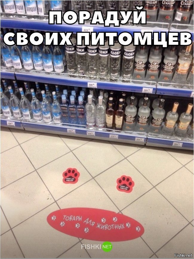 Порадуй своих питомцев