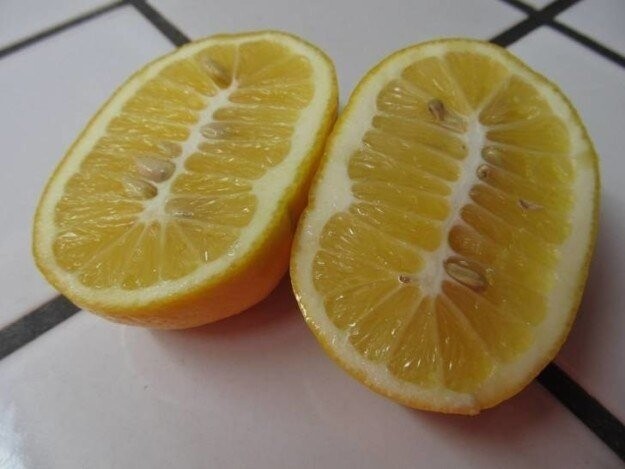 3. Неестественно большой лимон