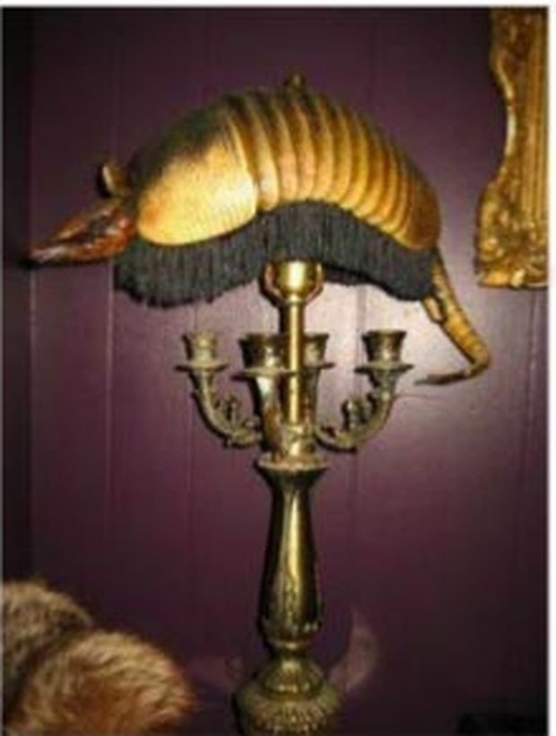 Лампа, сделанная из броненосца