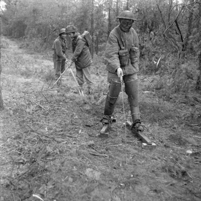 Сапёры 3- пехотной дивизии британской армии во время разведки проходов в немецких минных полях; октябрь 1944-го года