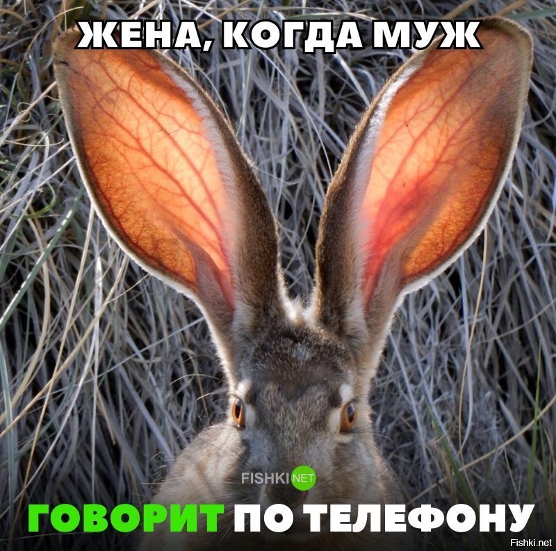 Жизненно