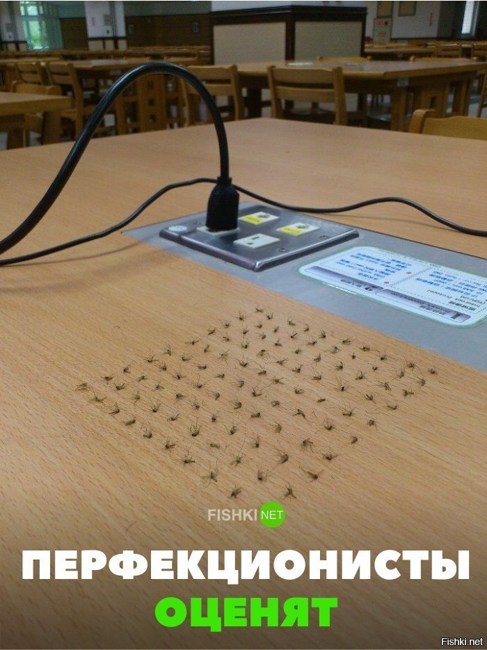 Рай перфекциониста