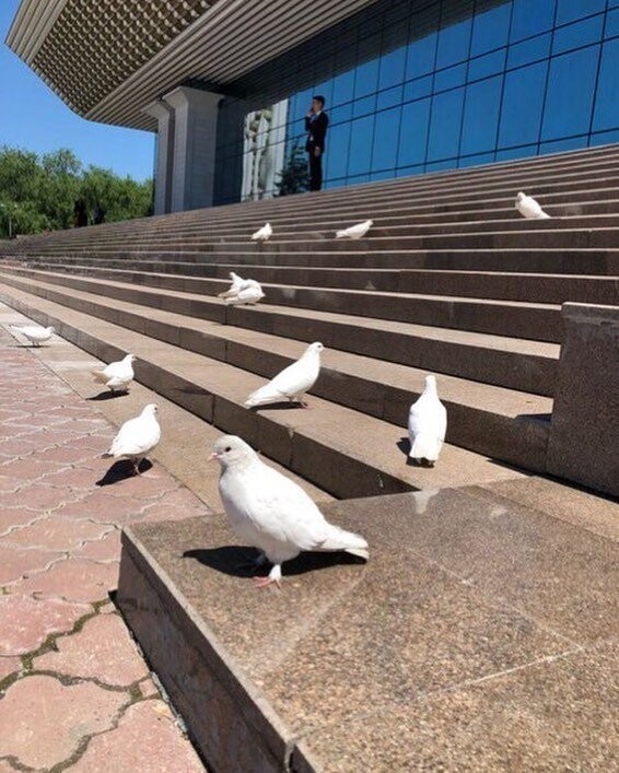 Алма-Ата Май Краски города