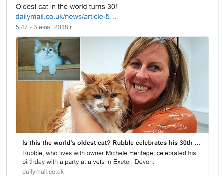 Кот Щебень отпраздновал 137 лет по человеческим меркам