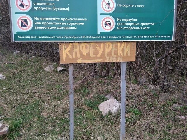 Прикольные картинки